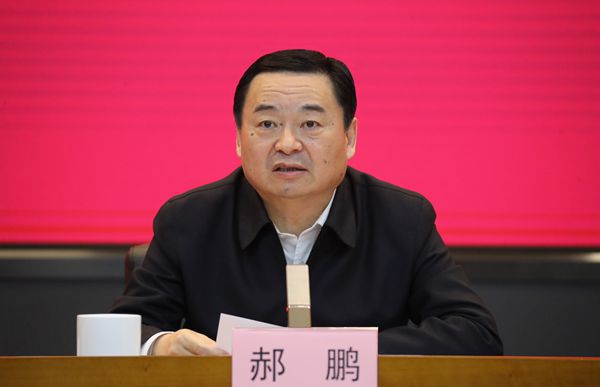 郝鵬、國資、央企、國資委、書記、主任、國企、企業(yè)改革